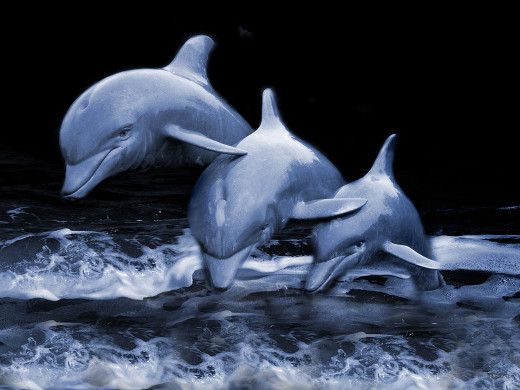 15662 (a): :1600x1200